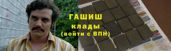 прущие грибы Бугульма